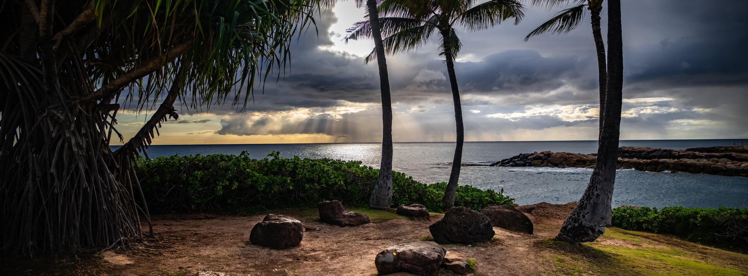 Palm trees and sunbeams over the Pacific at Aulani, Hawaii