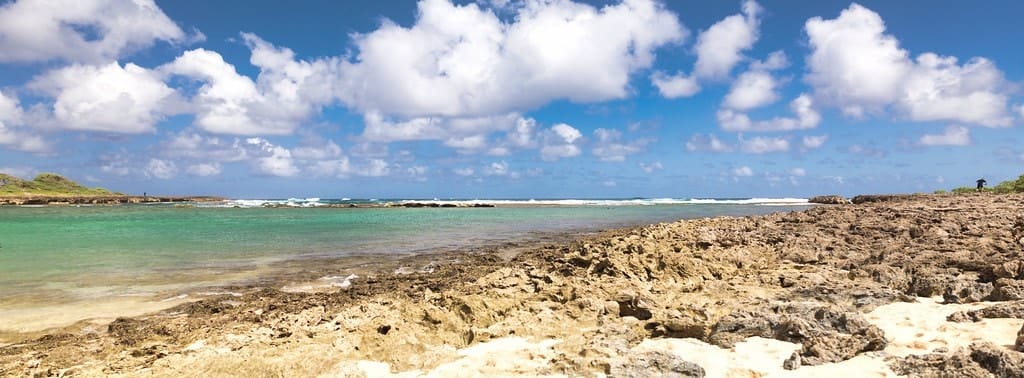 The shore at Turtle Bay