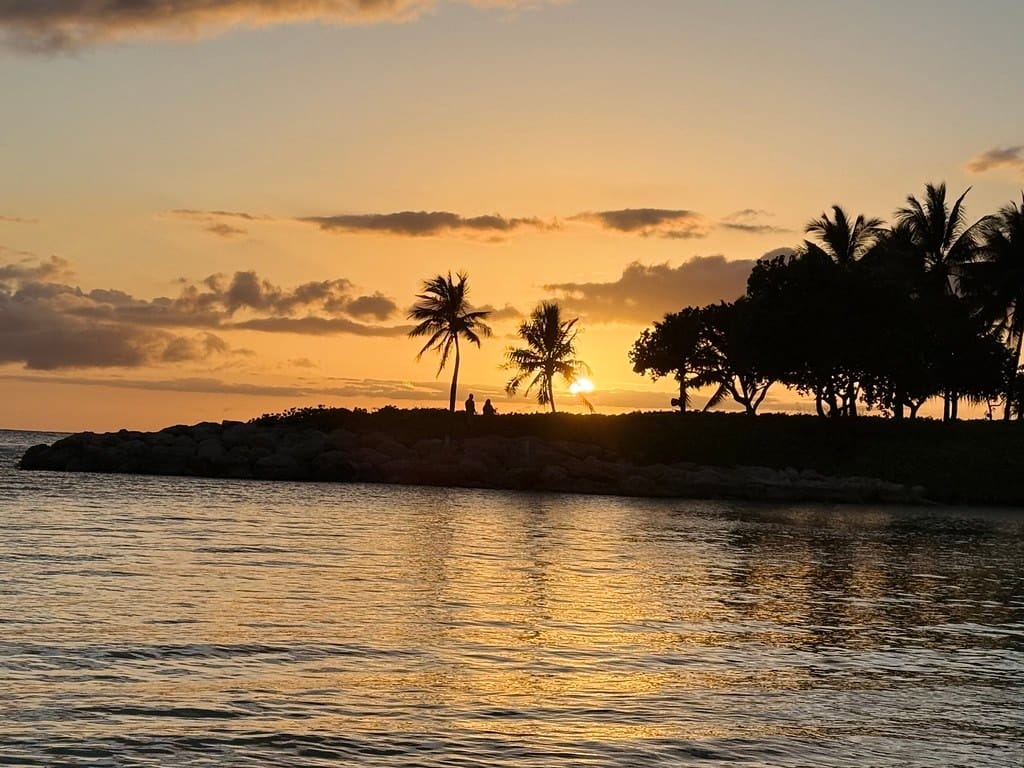 Palms along a quiet coastal cove