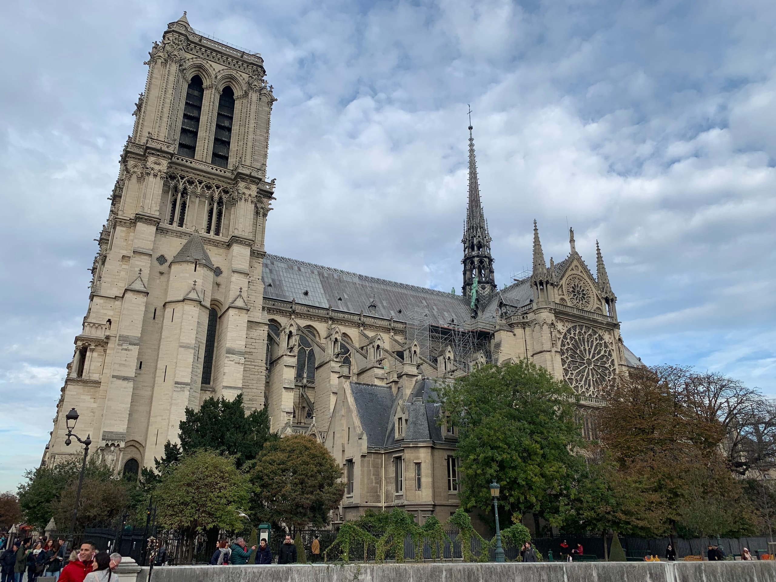 Notre-Dame rising above trees along the Seine