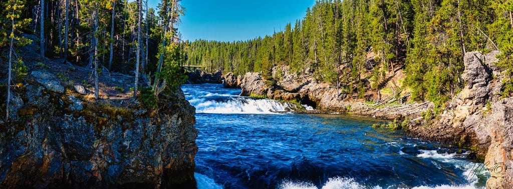 Lower Falls dropping into the Yellowstone canyon