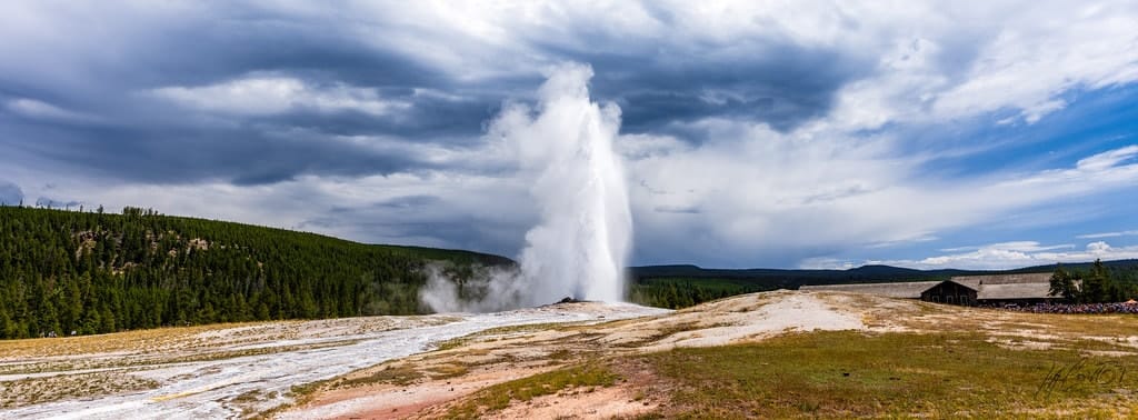 Old Faithful erupting against a wide sky
