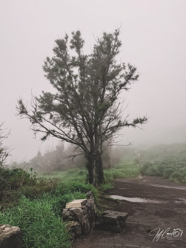 Rain and fog hanging over the mountains of Oahu