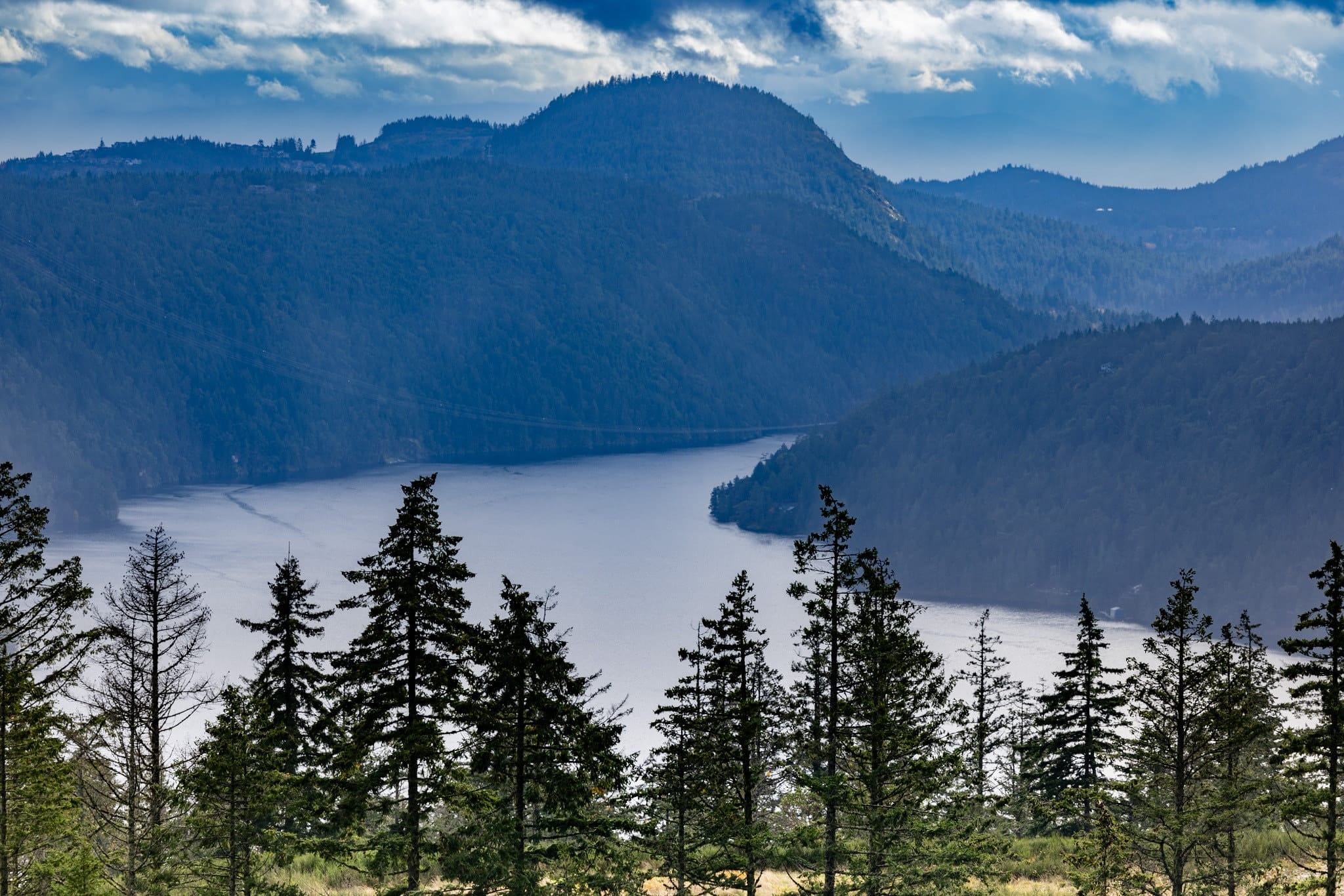 Forested slopes and silver water from the Malahat overlook