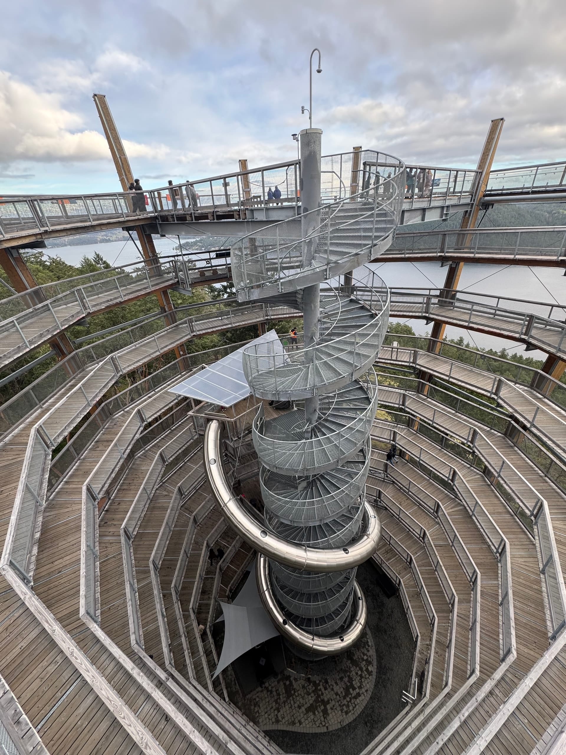 Looking down the spiral of the Malahat SkyWalk toward the forest